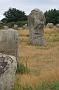 379 Carnac Mégalithes